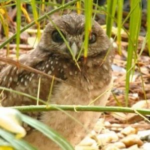 Meet your Posher, Heykayde